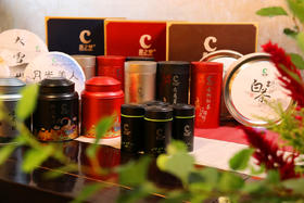 茶之梦：人之诚，茶之臻