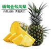 缅甸金钻凤梨 皮薄酸甜/饱满多汁 商品缩略图0