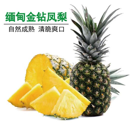 缅甸金钻凤梨 皮薄酸甜/饱满多汁 商品图0