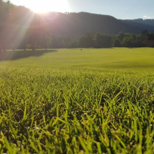 默霍夫高尔夫俱乐部 Golfclub Murhof  | 格拉茨高尔夫  | 奥地利高尔夫球场俱乐部 | 欧洲高尔夫 | Europe | Austria 商品图4