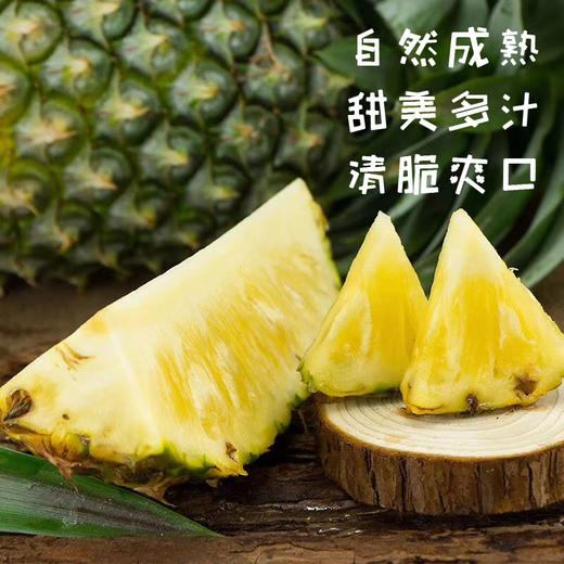 缅甸金钻凤梨 皮薄酸甜/饱满多汁 商品图1