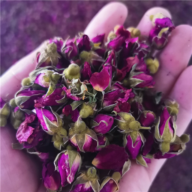 「自营」有机苦水玫瑰花茶