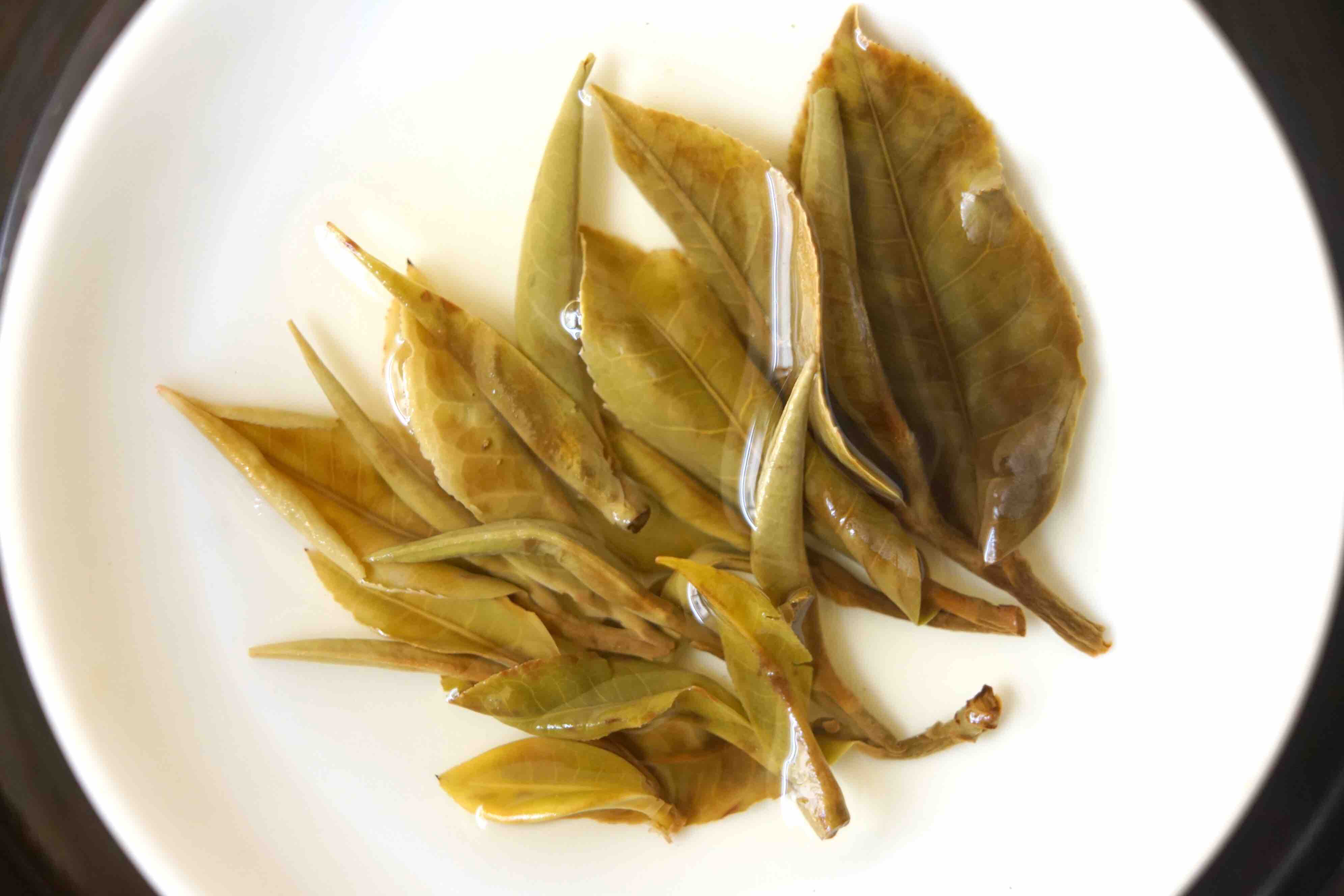 19年冰岛古树白茶,精选明前一芽二叶古树白茶,pk福鼎牡丹级,收藏潜力