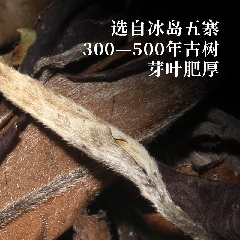 冰岛五寨300-500年古树普洱白茶饼 普洱大师陈道峰制 - 双子塔号旗舰