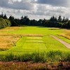 埃斯比约高尔夫俱乐部 Esbjerg Golfklub | 埃斯比约高尔夫 | 丹麦高尔夫球场俱乐部 | 欧洲高尔夫 | Denmark Golf 商品缩略图2