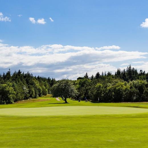 埃斯比约高尔夫俱乐部 Esbjerg Golfklub | 埃斯比约高尔夫 | 丹麦高尔夫球场俱乐部 | 欧洲高尔夫 | Denmark Golf 商品图3