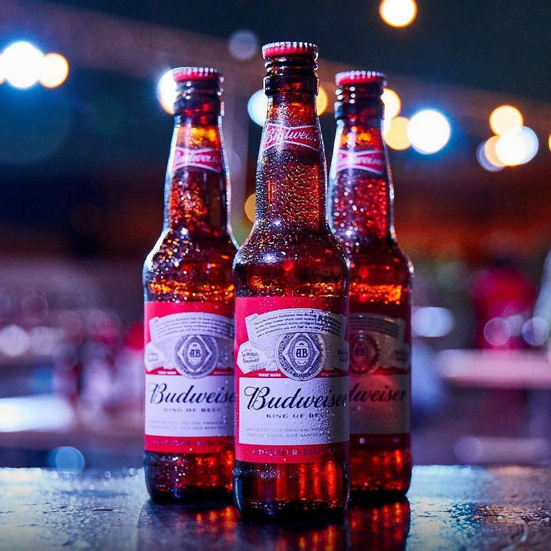 百威 旋盖啤酒 300ml 12瓶 红蓝随机发货有票jpy带授权招加盟代理