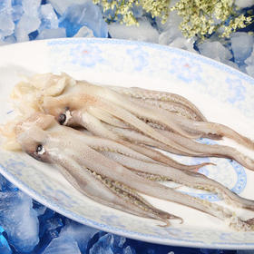 得莉水产鲜冻鱿鱼须【冷冻产品不退不换】