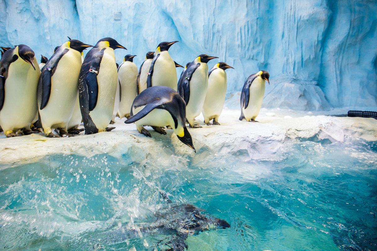 CvoiLFlMfyGAa_YrABohj7HYk-o759 (1).jpg