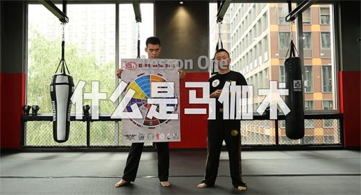 1.马伽术介绍 商品图0