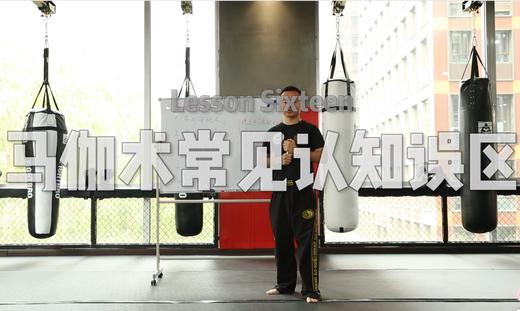 16.马技术常见的认识误区 商品图0