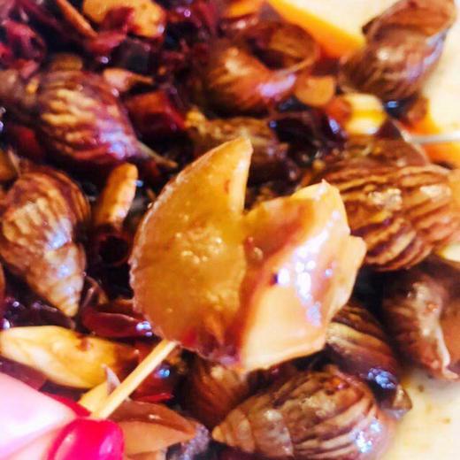 【白玉大蜗牛】 商品图2