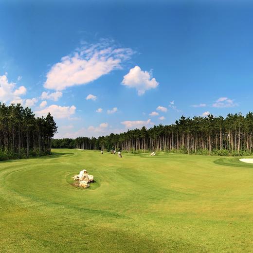 巴拉顿高尔夫俱乐部 Balaton Golf Club  | 维斯普雷姆高尔夫球场 | 匈牙利高尔夫球场俱乐部 | 欧洲高尔夫 | Hungary 商品图0