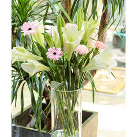 【周四团购】5枝铁炮百合混搭49.9元 2人拼团