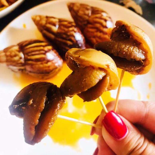 【白玉大蜗牛】 商品图3