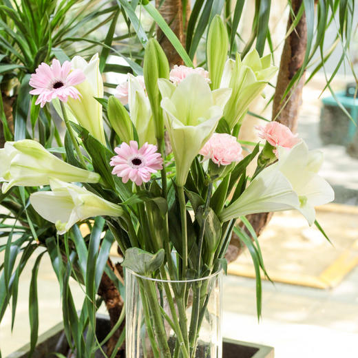 【周四团购】5枝铁炮百合混搭49.9元 2人拼团 商品图2