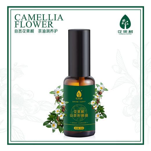 花果树  山茶籽精油  30ml 商品图1