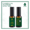花果树  山茶籽精油  30ml 商品缩略图2