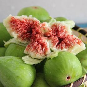 9月3日食安早报：吃胡萝卜，不能预防近视