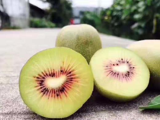 【自营水果】红心猕猴桃|一箱22个左右 商品图2