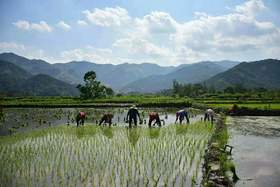  好一幅夏日农耕之景，震撼航拍，美到至极！ 