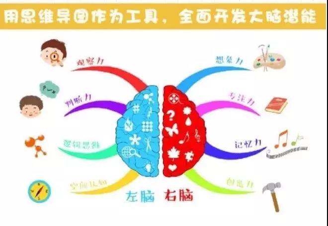 《思维导图全脑开发游戏》