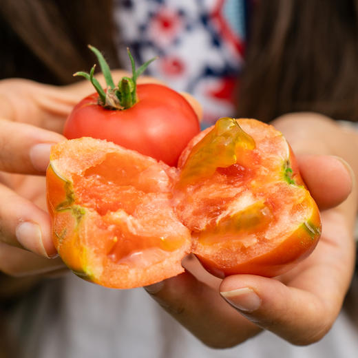 8月29日食安早报：蜂胶不属于日常饮食，属于保健食品范畴 商品图0