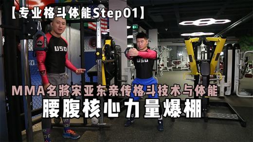 宋亚东格斗技术与体能训练视频课程 商品图0