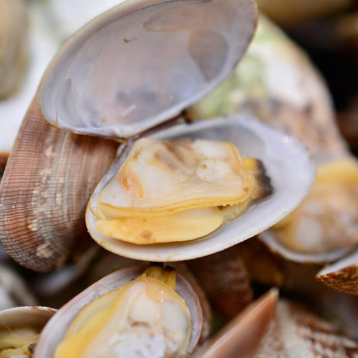 鲜活花甲 商品图2