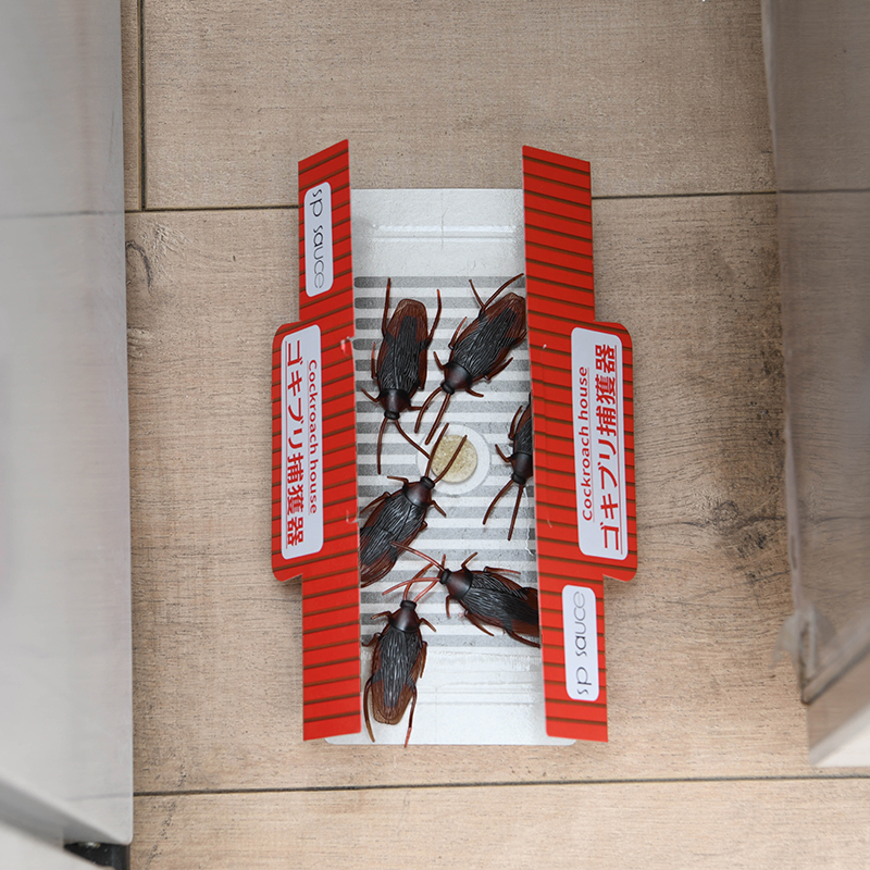 日本蟑螂屋 捕蟑螂盒 家用厨房无毒捕虫器 诱饵诱捕小强 10个装