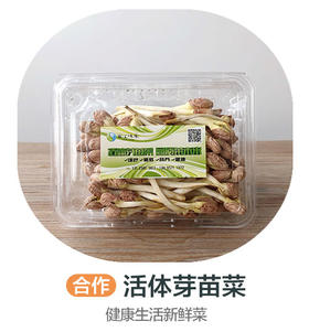 活体芽苗菜（合作）（±50g/份）