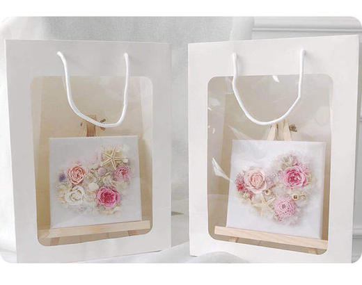 橱窗手提袋--圣诞橱窗袋 商品图3