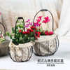 铁艺篮-手提花篮 商品缩略图3