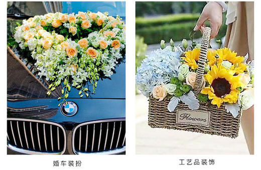 花泥《不参与包邮》 商品图5