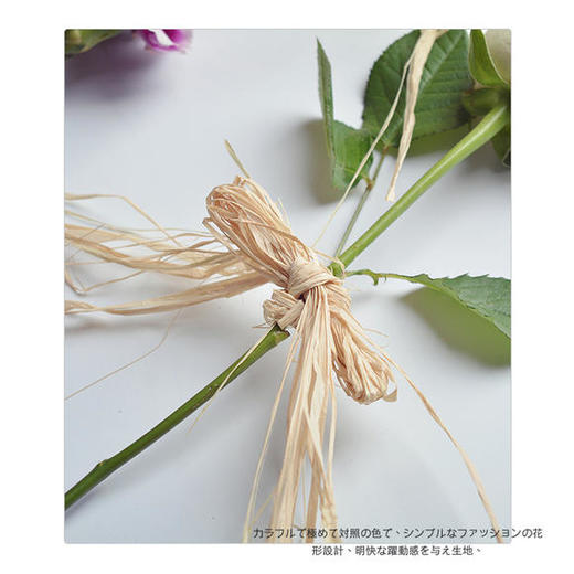 拉菲草 商品图2