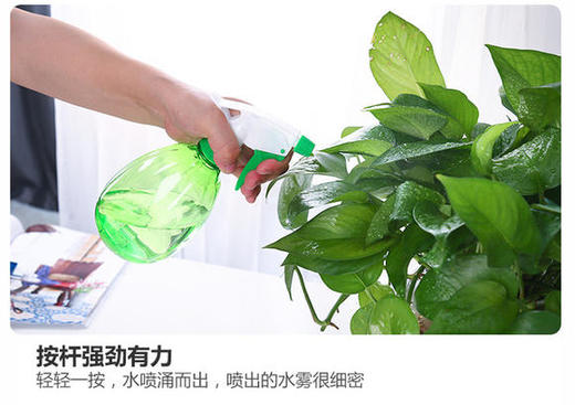 喷水壶 商品图3