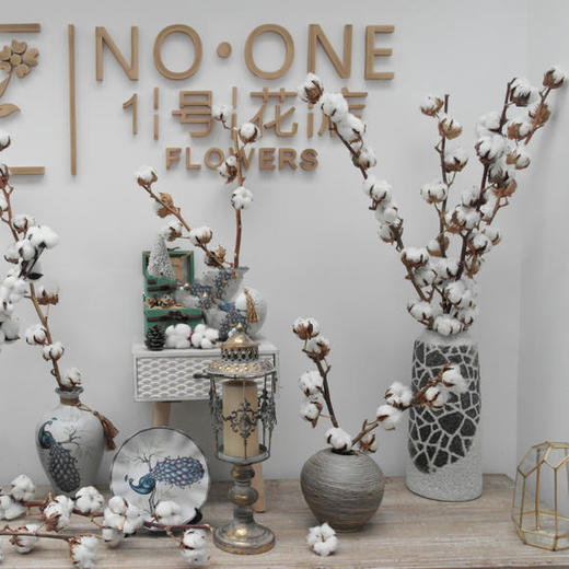 棉花 商品图3