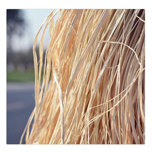 拉菲草 商品图0