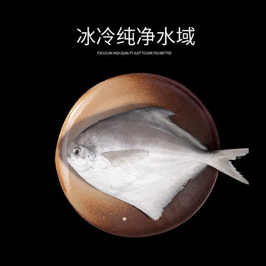 博士鱼鲜生水产鱼虾礼盒 商品图5