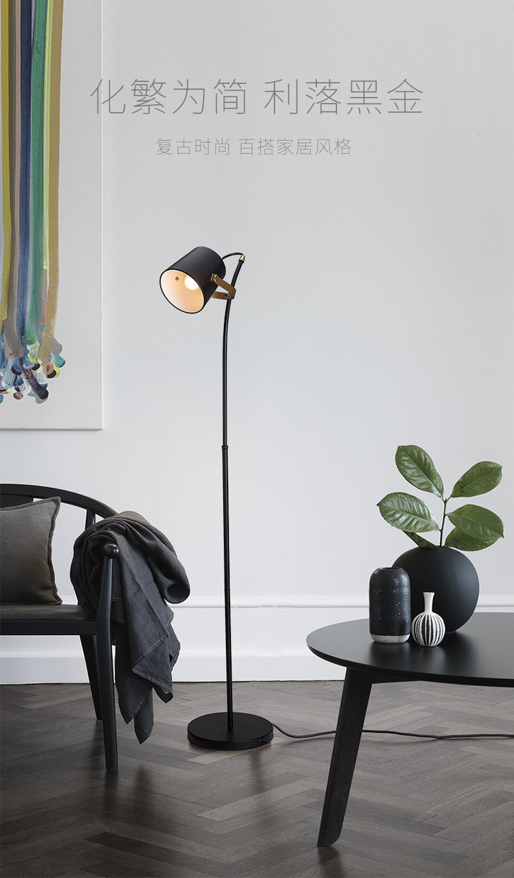 落地灯ins风创意坐地灯北欧简约黑金客厅卧室灯现代灯