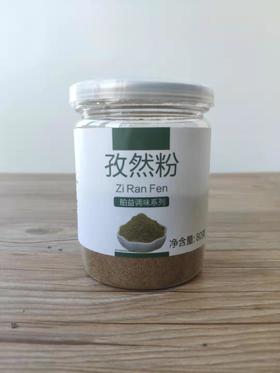 舶益孜然粉