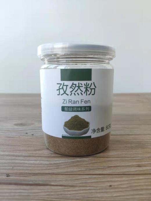 舶益孜然粉 商品图0
