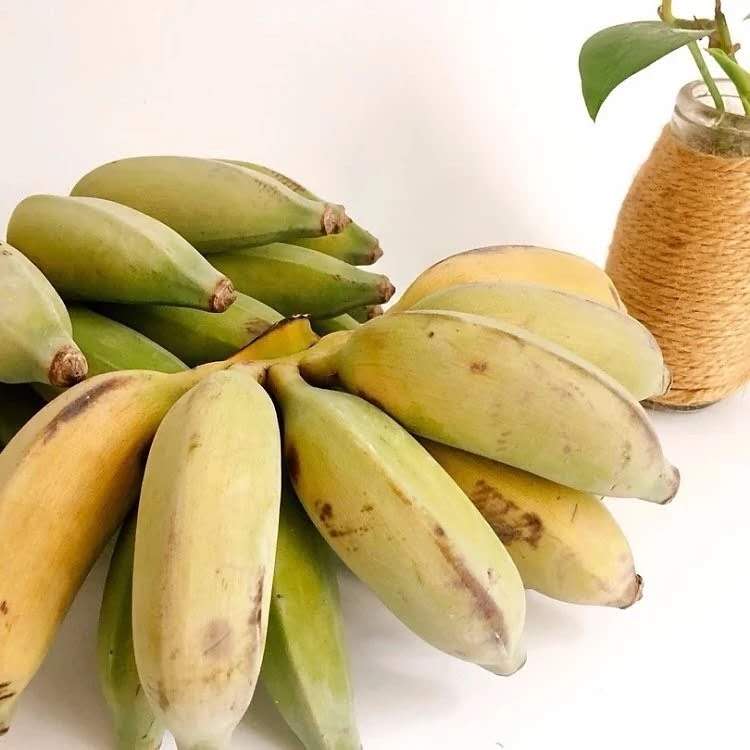 【产地直发包邮】云南柠檬君—老实芭蕉（一周2次发货）