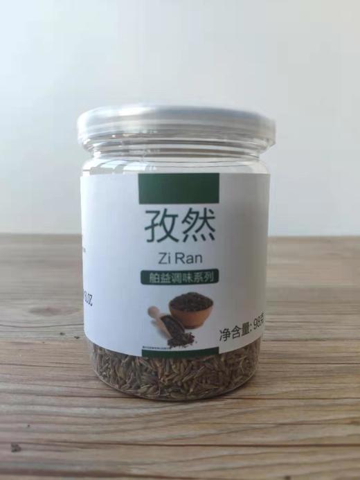 舶益孜然 商品图0