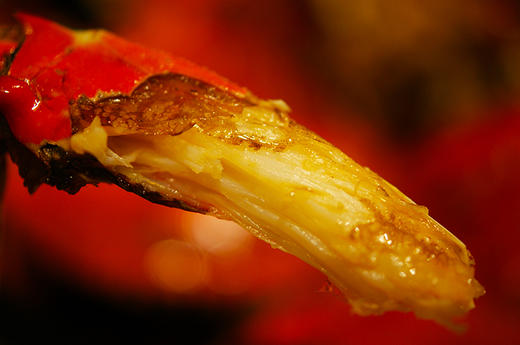 【梭子蟹】 商品图6