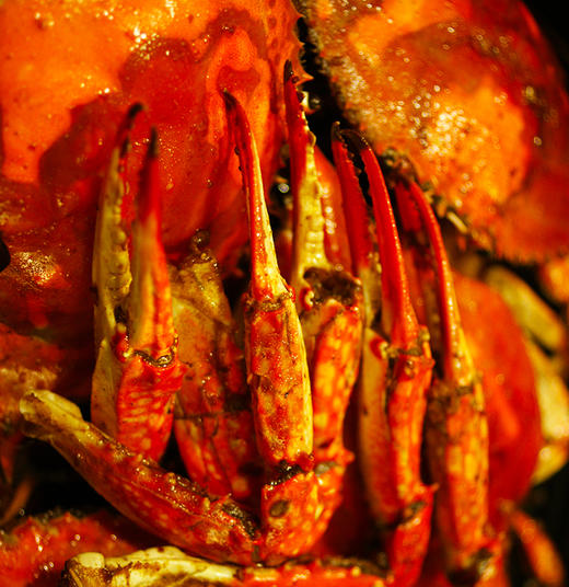 【梭子蟹】 商品图4