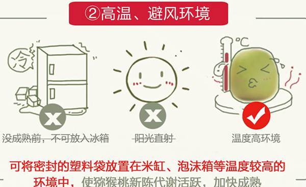 红心猕猴桃催熟与食用方法