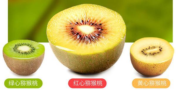 红心猕猴桃催熟与食用方法 红心猕猴桃催熟与食用方法