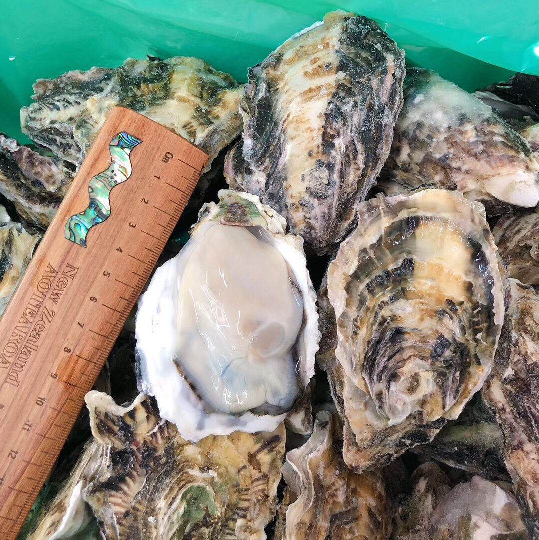 冷冻日本生蚝运费顺丰到付