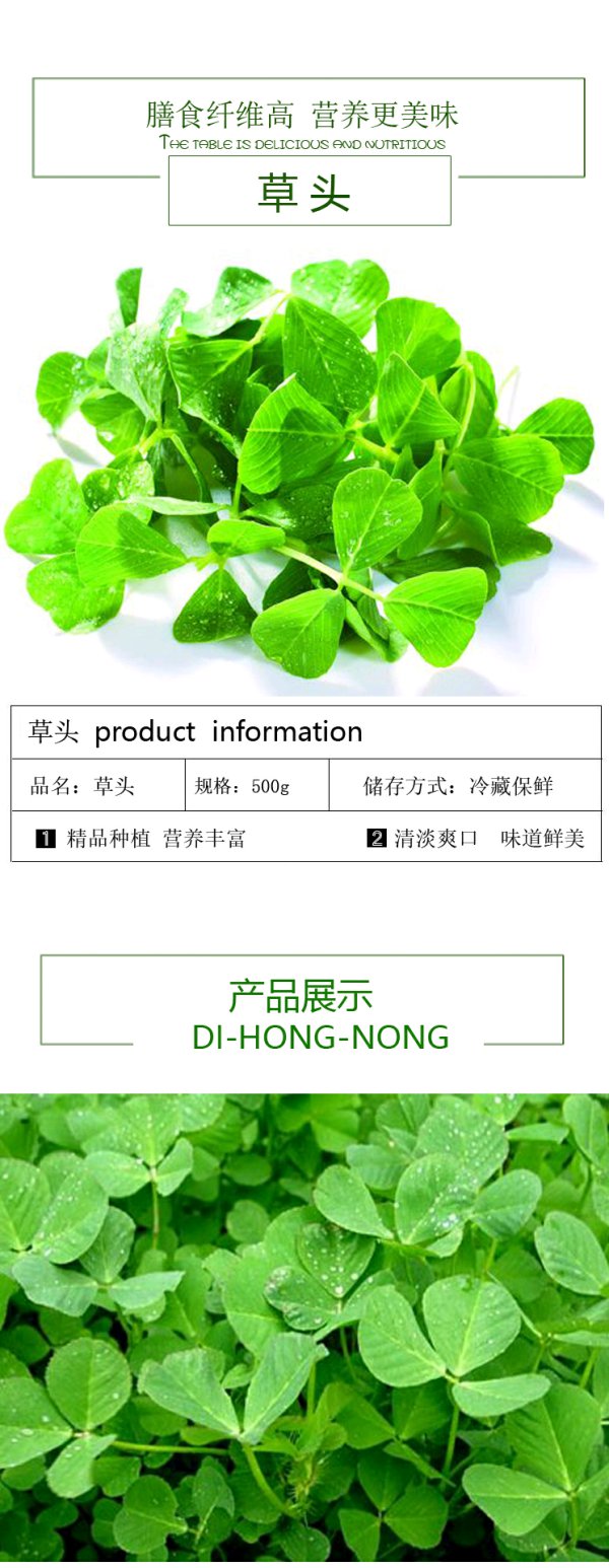 【5件包邮8件9.5折】草头500g金花菜上海本地草新鲜蔬菜 - 道客速联